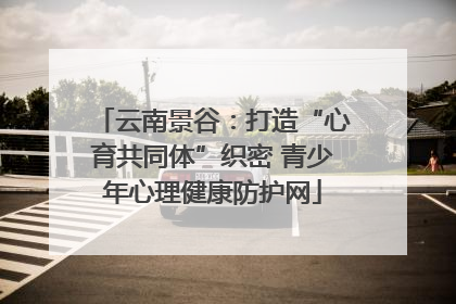 云南景谷：打造“心育共同体”织密 青少年心理健康防护网