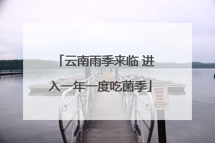 云南雨季来临 进入一年一度吃菌季