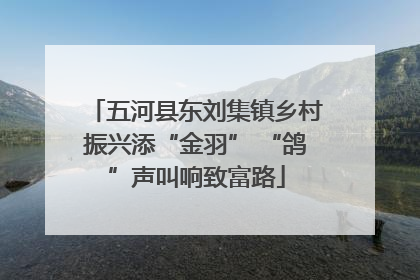 五河县东刘集镇乡村振兴添“金羽” “鸽”声叫响致富路