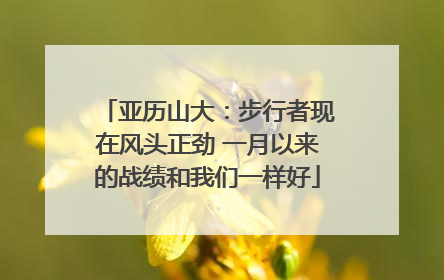 亚历山大：步行者现在风头正劲 一月以来的战绩和我们一样好