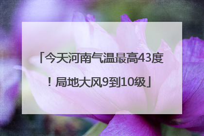 今天河南气温最高43度！局地大风9到10级