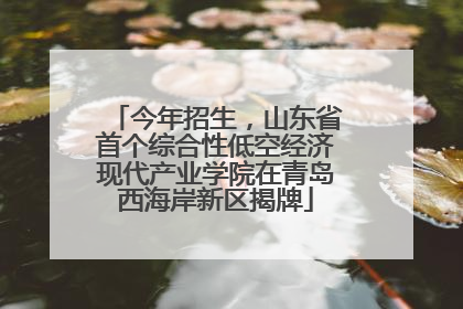 今年招生，山东省首个综合性低空经济现代产业学院在青岛西海岸新区揭牌