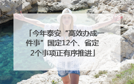 今年泰安“高效办成一件事”国定12个、省定2个事项正有序推进