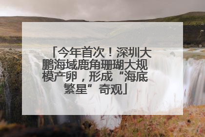 今年首次！深圳大鹏海域鹿角珊瑚大规模产卵，形成“海底繁星”奇观