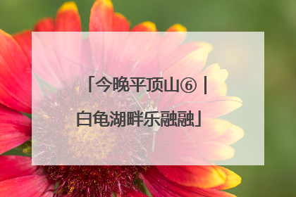 今晚平顶山⑥｜白龟湖畔乐融融
