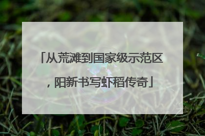 从荒滩到国家级示范区，阳新书写虾稻传奇