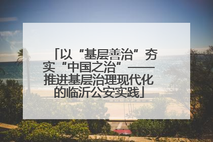 以“基层善治”夯实“中国之治”——推进基层治理现代化的临沂公安实践