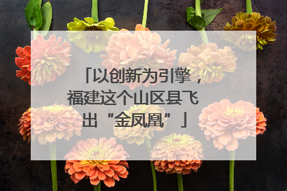 以创新为引擎，福建这个山区县飞出“金凤凰”