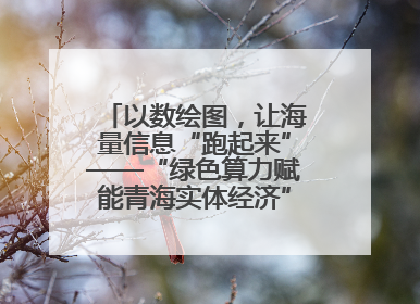 以数绘图，让海量信息“跑起来”——“绿色算力赋能青海实体经济”系列报道①