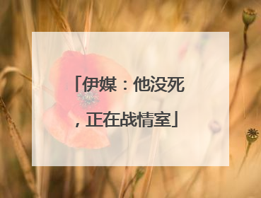伊媒：他没死，正在战情室