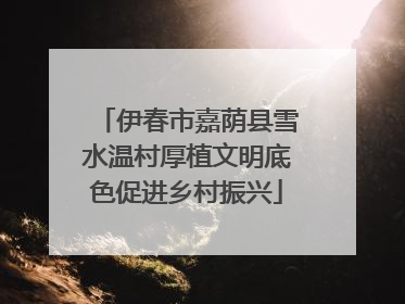伊春市嘉荫县雪水温村厚植文明底色促进乡村振兴