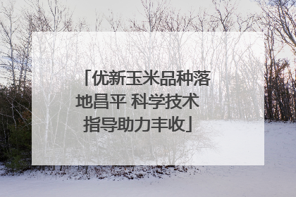 优新玉米品种落地昌平 科学技术指导助力丰收