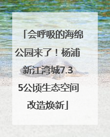 会呼吸的海绵公园来了！杨浦新江湾城7.35公顷生态空间改造焕新