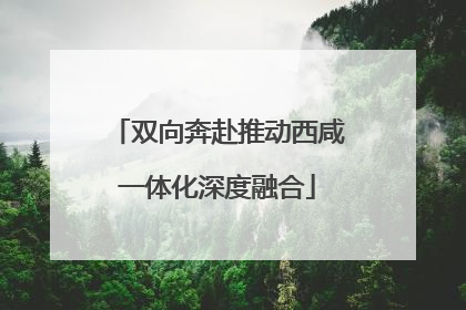 双向奔赴推动西咸一体化深度融合
