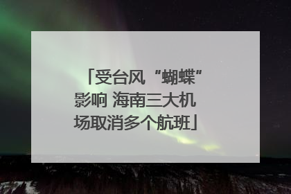 受台风“蝴蝶”影响 海南三大机场取消多个航班