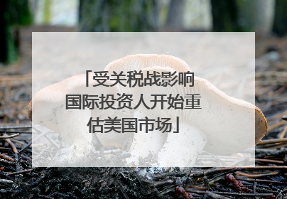 受关税战影响 国际投资人开始重估美国市场