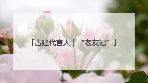 古建代言人丨“老友记”