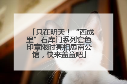 只在明天！“西成里”石库门系列套色印章限时亮相思南公馆，快来盖章吧
