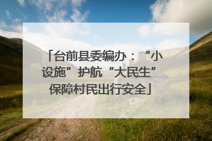 台前县委编办：“小设施”护航“大民生” 保障村民出行安全