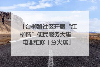 台柳路社区开展“红柳情”便民服务大集 电器维修十分火爆
