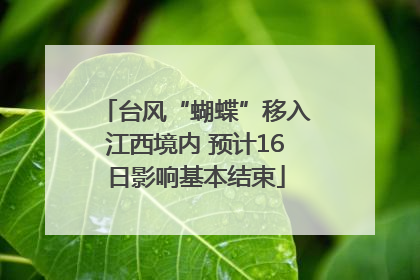 台风“蝴蝶”移入江西境内 预计16日影响基本结束