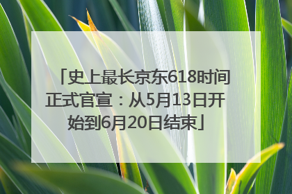 史上最长京东618时间正式官宣：从5月13日开始到6月20日结束