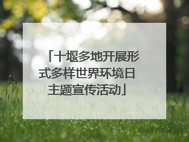 十堰多地开展形式多样世界环境日主题宣传活动