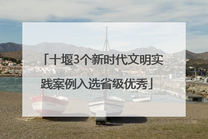 十堰3个新时代文明实践案例入选省级优秀
