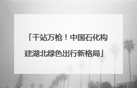 千站万枪！中国石化构建湖北绿色出行新格局