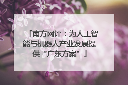 南方网评：为人工智能与机器人产业发展提供“广东方案”