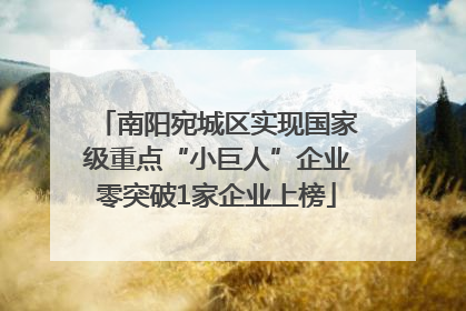 南阳宛城区实现国家级重点“小巨人”企业零突破1家企业上榜