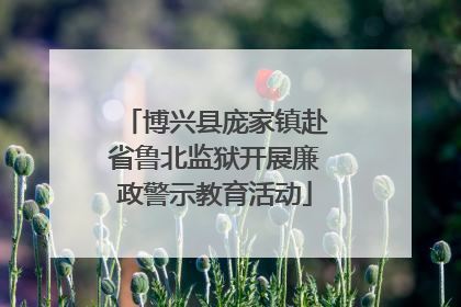 博兴县庞家镇赴省鲁北监狱开展廉政警示教育活动
