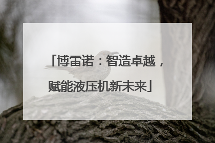 博雷诺：智造卓越，赋能液压机新未来