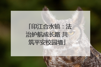印江合水镇：法治护航成长路 共筑平安校园墙