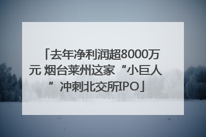 去年净利润超8000万元 烟台莱州这家“小巨人”冲刺北交所IPO