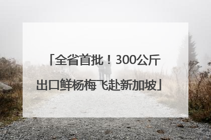 全省首批！300公斤出口鲜杨梅飞赴新加坡