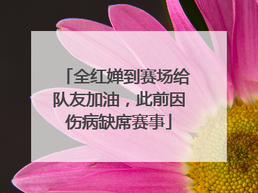 全红婵到赛场给队友加油，此前因伤病缺席赛事