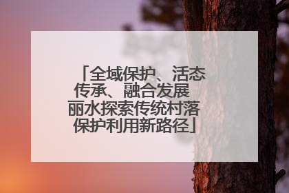 全域保护、活态传承、融合发展 丽水探索传统村落保护利用新路径