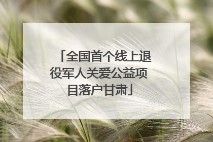 全国首个线上退役军人关爱公益项目落户甘肃