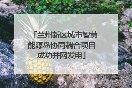 兰州新区城市智慧能源岛协同耦合项目成功并网发电