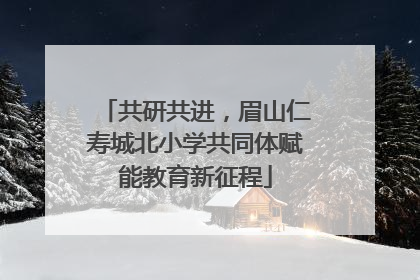 共研共进，眉山仁寿城北小学共同体赋能教育新征程