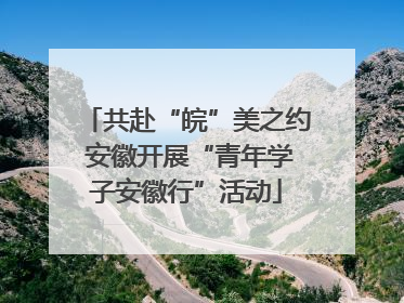 共赴“皖”美之约 安徽开展“青年学子安徽行”活动