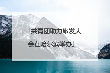 共青团助力旅发大会在哈尔滨举办