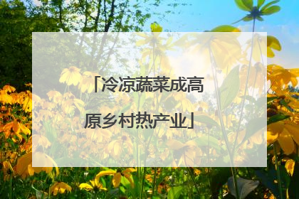 冷凉蔬菜成高原乡村热产业