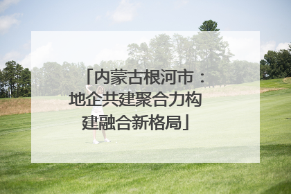 内蒙古根河市：地企共建聚合力构建融合新格局