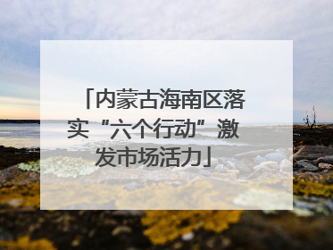 内蒙古海南区落实“六个行动”激发市场活力