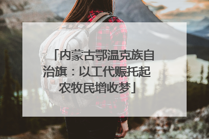 内蒙古鄂温克族自治旗：以工代赈托起农牧民增收梦