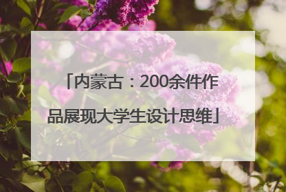 内蒙古：200余件作品展现大学生设计思维