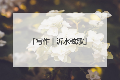 写作｜沂水弦歌