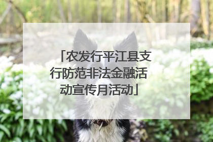 农发行平江县支行防范非法金融活动宣传月活动